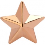 Звезда для погон из серебра с позолотой (арт. 839361)